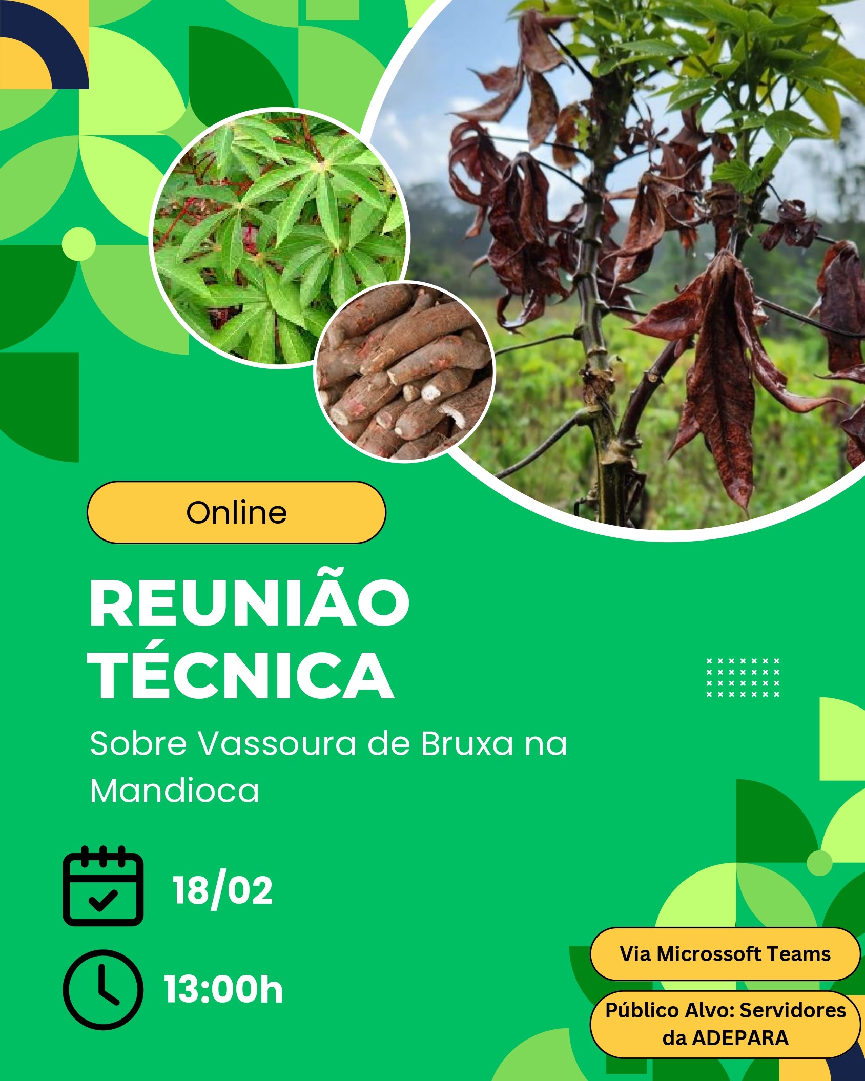 reunião técnica 