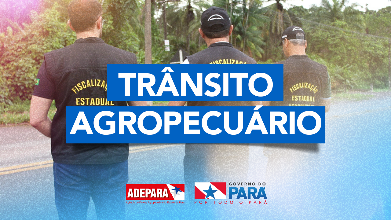 banner trânsito agropecuário