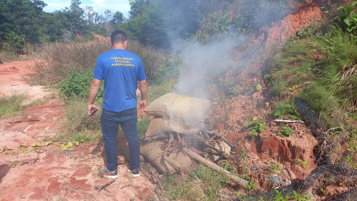 apreensão de amêndoas de cacau em Juruti