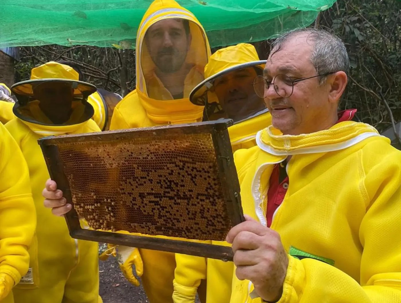 fiscais da Adepará realizando vigilancia nas colmeias