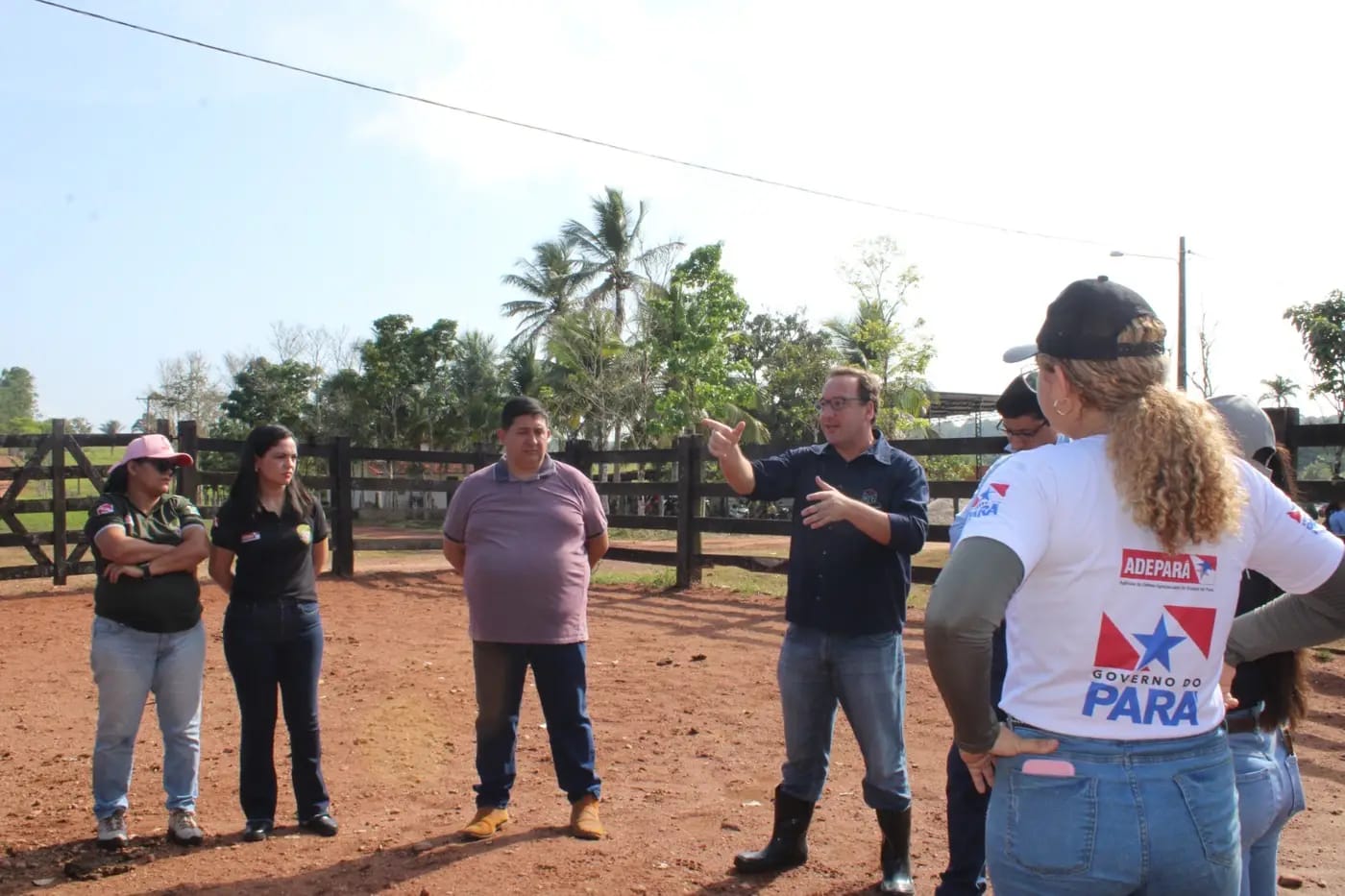 Pecuária Sustentável