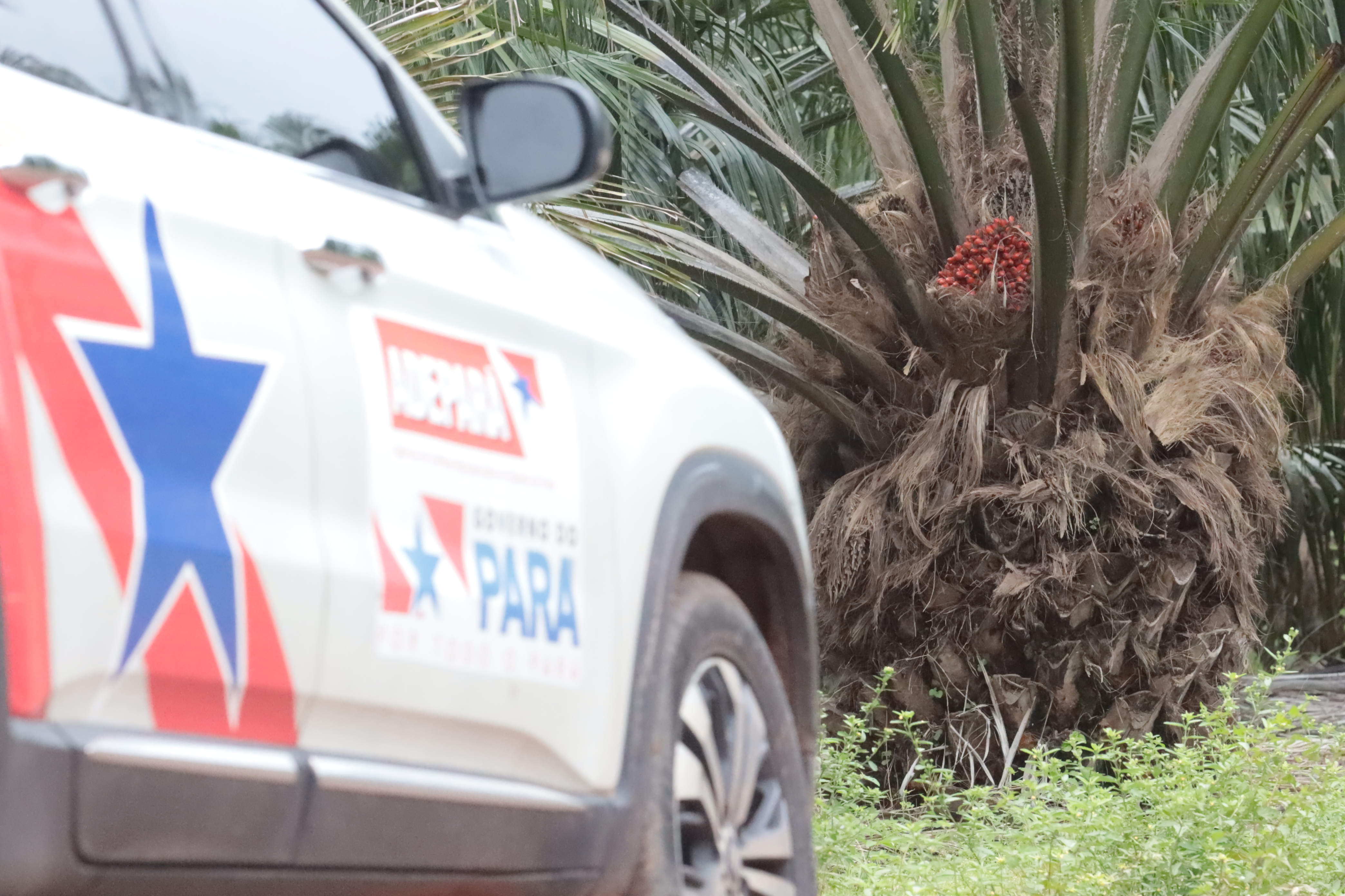 defesa agropecuária 