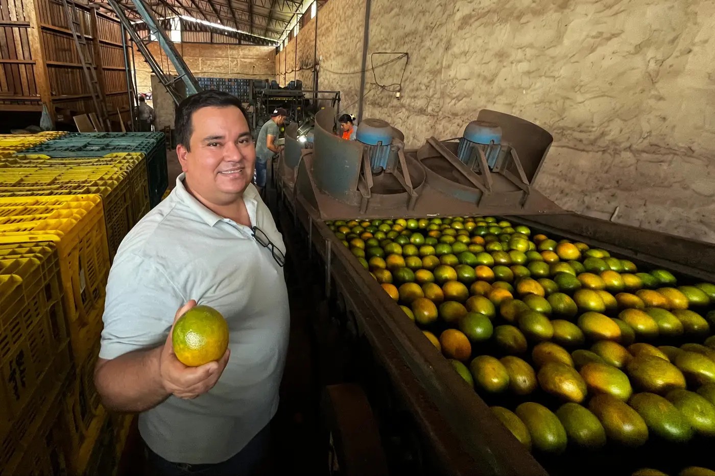 polo de produção de laranja é area livre de pragas