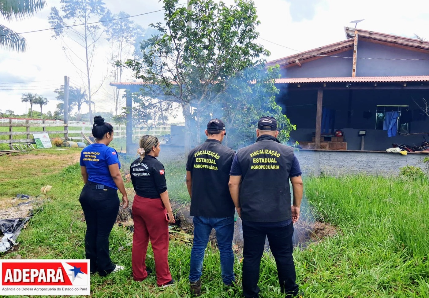 Fiscais em ação no campo