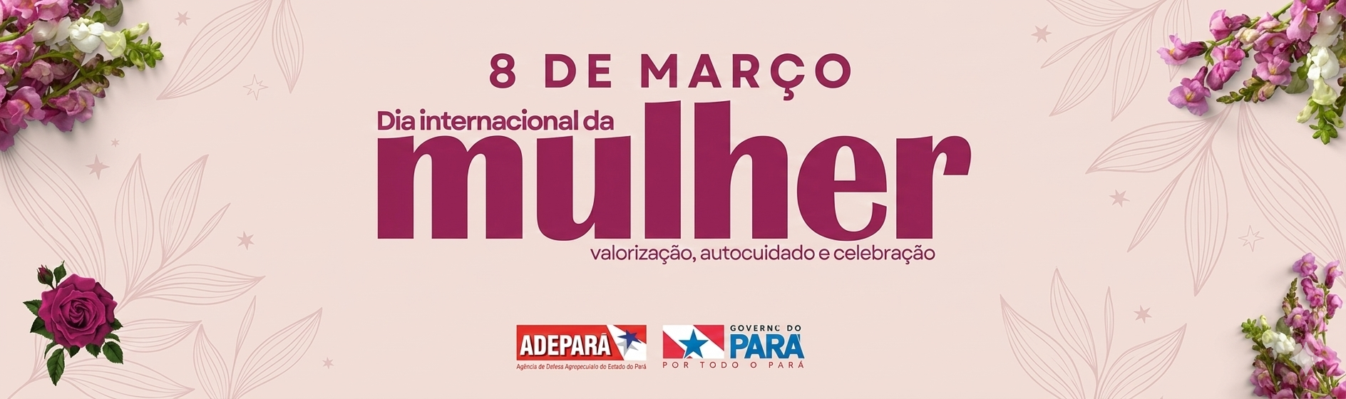 WebBANNER rosa escrito Dia Internacional da Mulher 