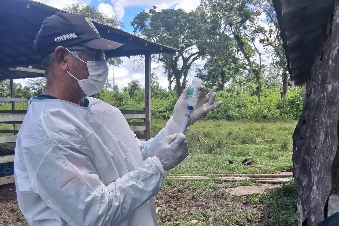 Adepará promove ações preventivas para a saúde animal, a exemplo da aplicação de vacinação contra doenças
