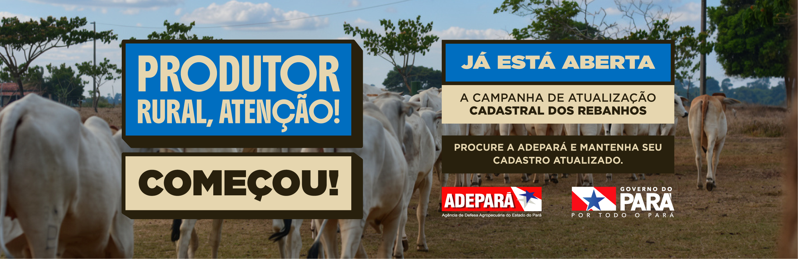 Atualização Cadastral