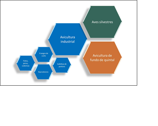 CATEGORIAS QUE COMPÕEM A POPULAÇÃO ALVO DO PLANO DE VIGILÂNCIA DE IA E DNC