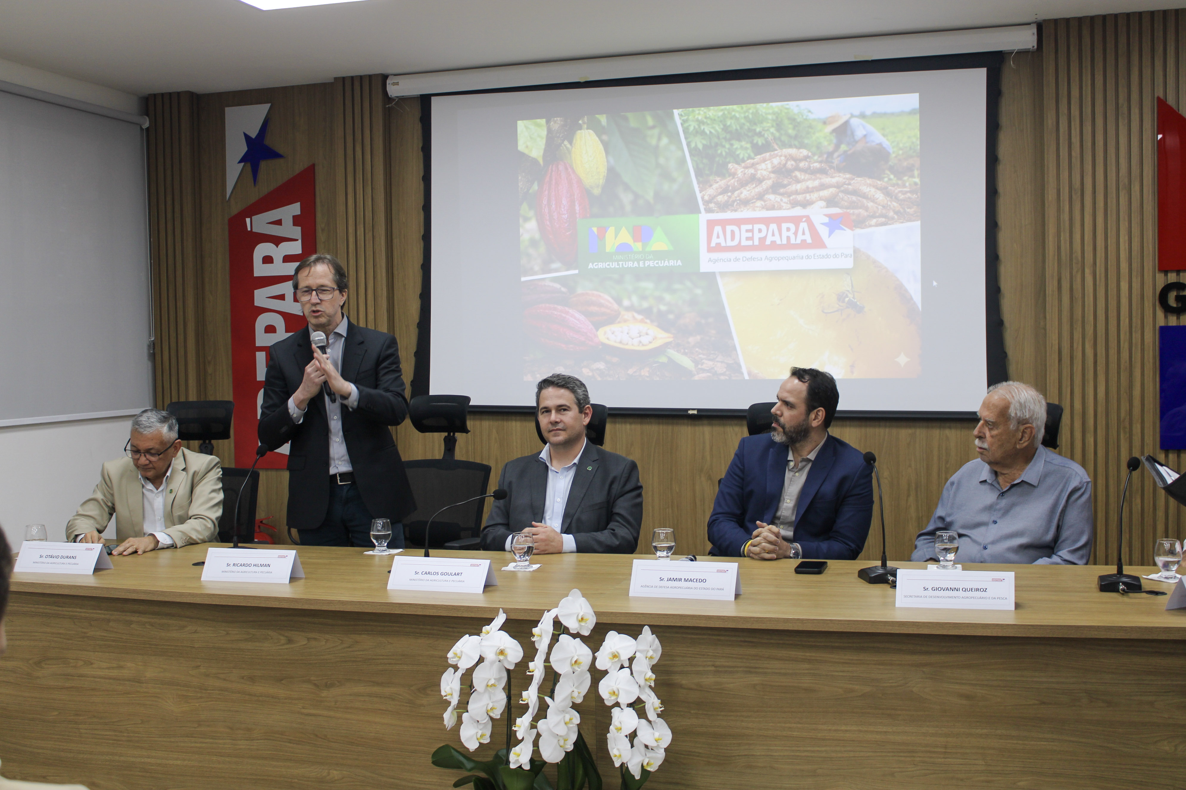 coordenador-geral de Proteção de Plantas do Departamento de Sanidade Vegetal e Insumos Agrícolas (DSV/SDA) Ricardo Hilman