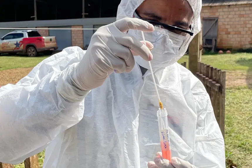 Umbrella_definitivamente