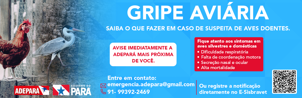 Gripe Aviária - Atenção e Cuidados