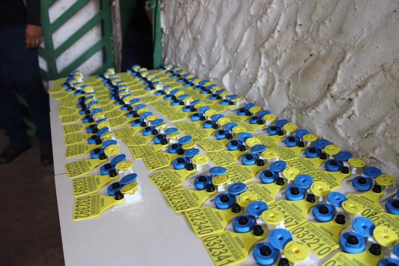 Pecuária Sustentável