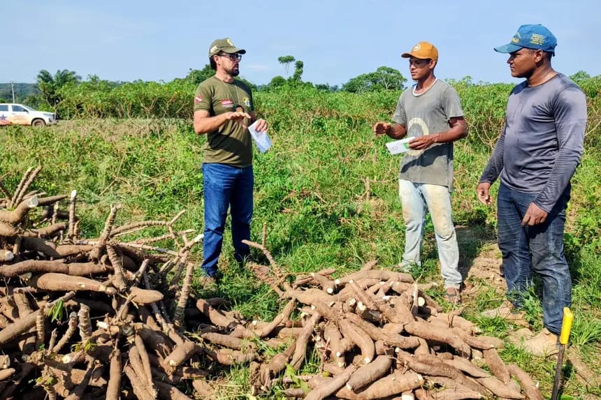 Educação Sanitária
