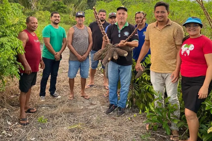 Educação Sanitária