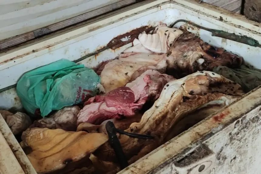 Operação Paragominas