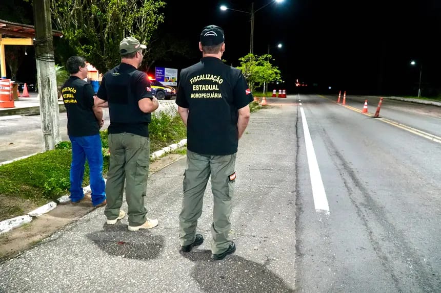 Equipe de Fiscalização da Adepará