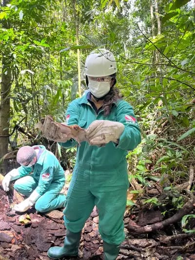 Contenção de morcego