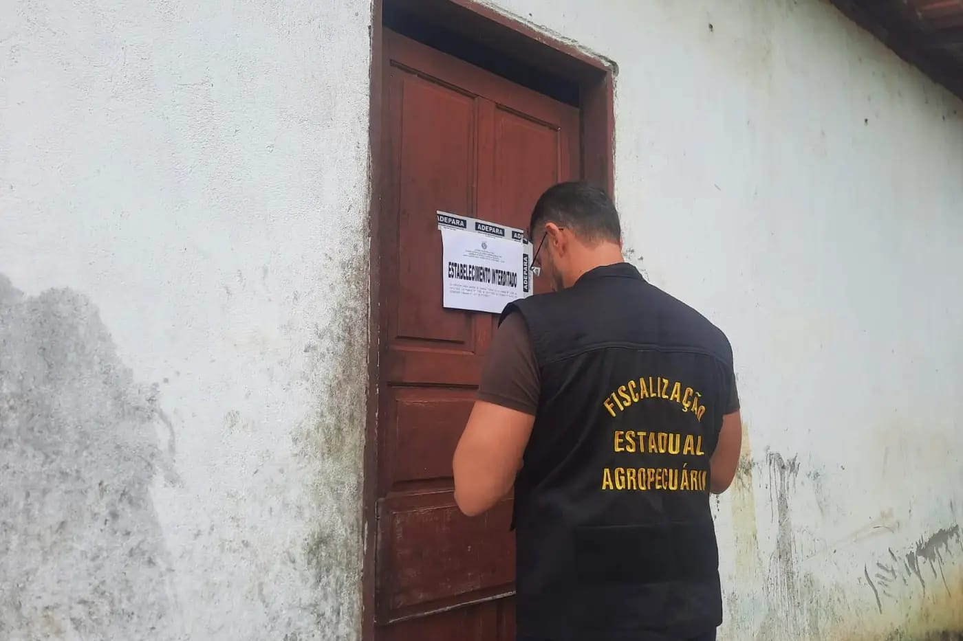 Fiscal agropecuário fiscaliza queijaria clandestina