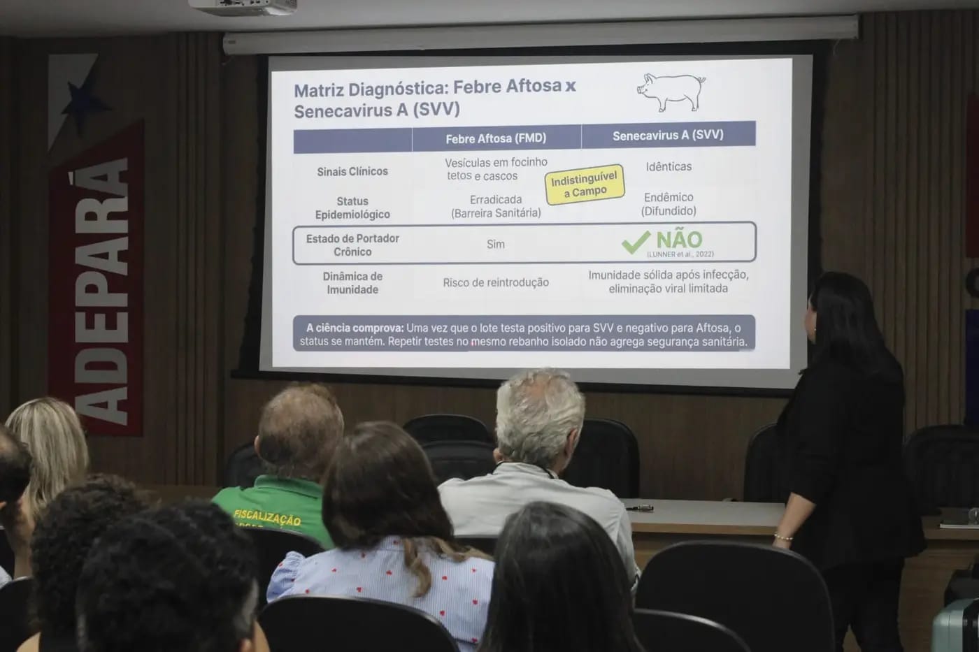 Treinamento SISBI-POA