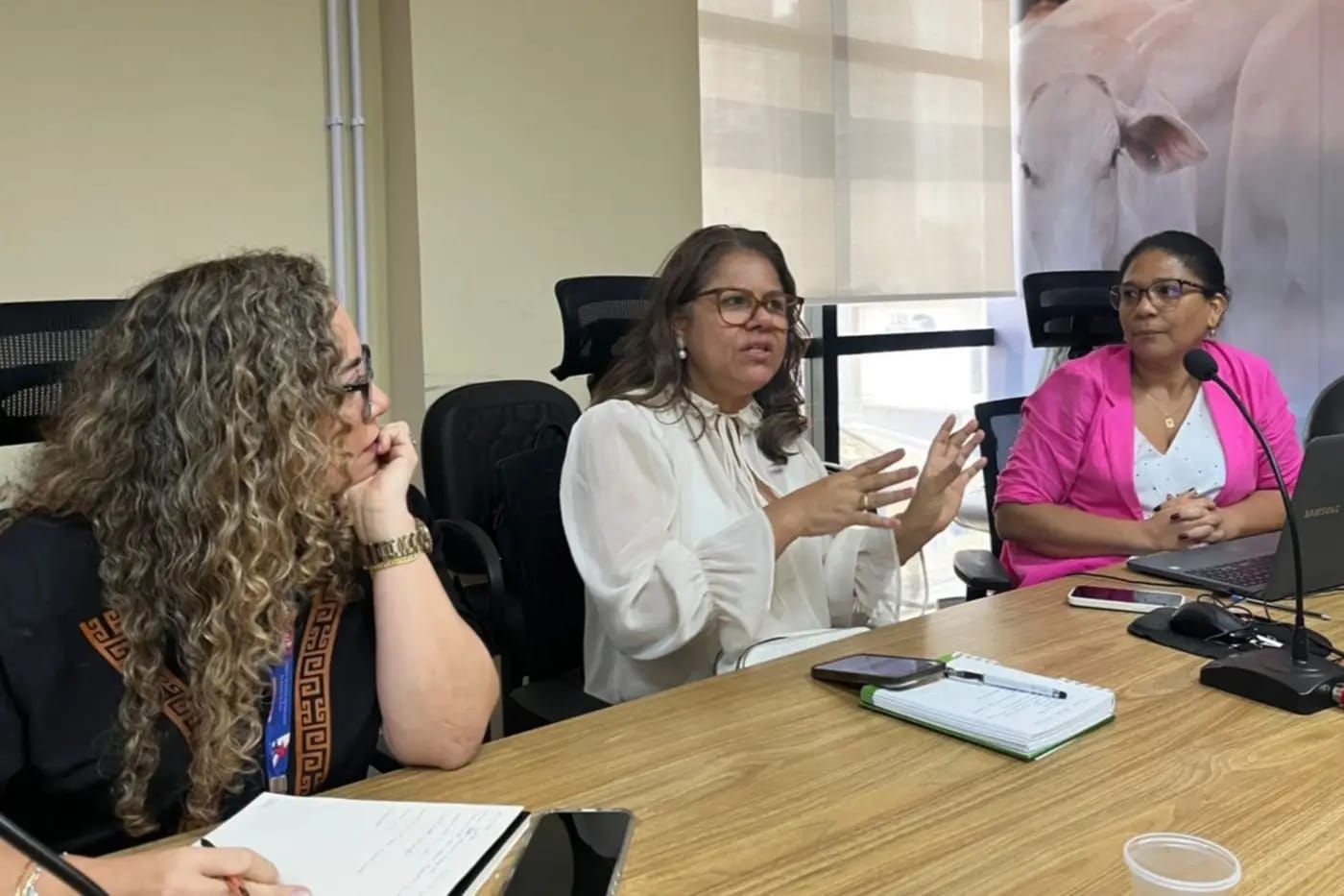 Promotora de Justiça Erica Almeida explicou o andamento das ações do grupo de trabalho