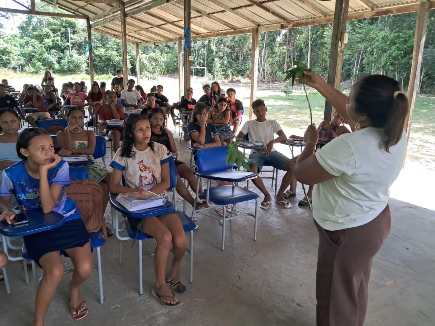 A programação preventiva da Adepará e parceiros que impedir a entrada da vassoura-de-bruxa no Pará