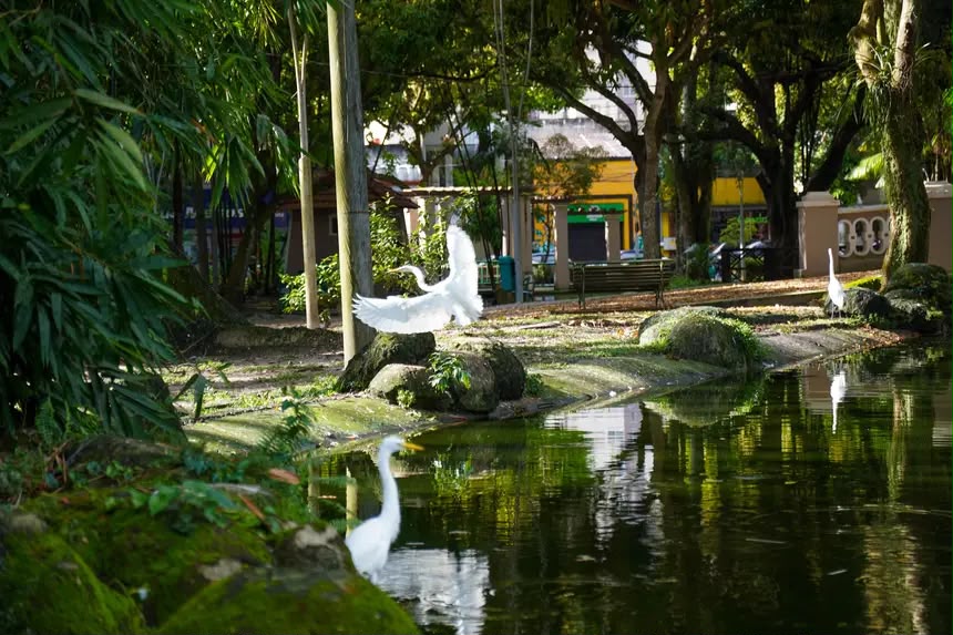 Praça Batista Campos