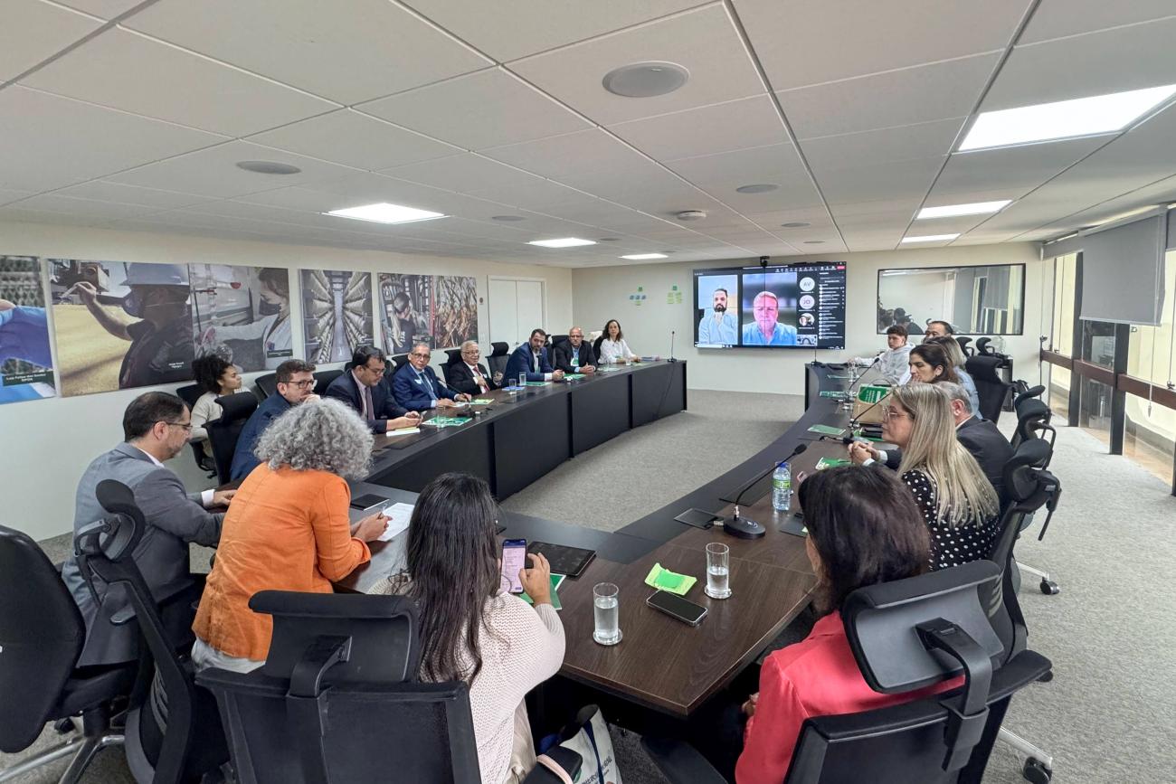 reunião comitê SUASA