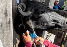 curso OPR em Salvaterra