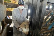 Curso de Capacitação São Domingos do Capim