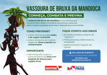 folder Vassoura