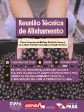 Reunião Técnica discute Plano Integrado de defesa sanitária para o açaí