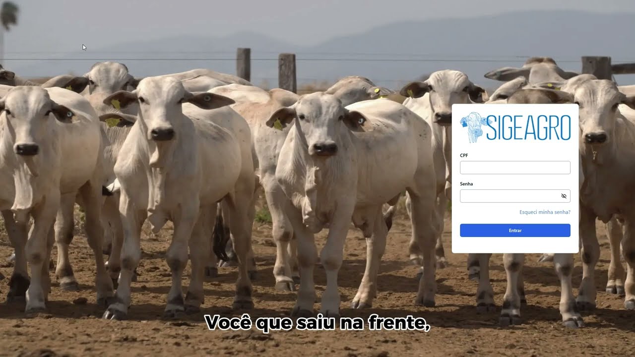 Embedded thumbnail for Tutorial Sistema de Rastreabilidade Bovídeo do Pará - Chegada de animais